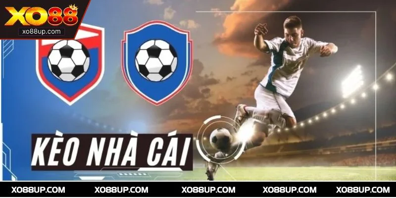 3 dạng kèo phổ biến mang đến lựa chọn đa dạng cho cược thủ