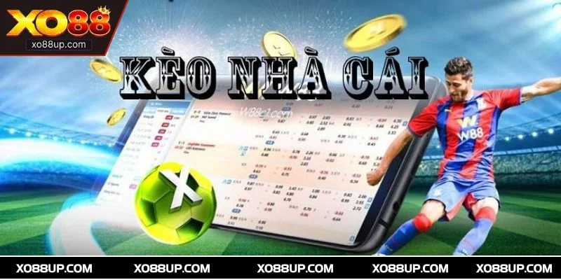 Hiểu rõ khái niệm kèo tỷ lệ nhà cái giúp cược thủ nắm chắc phần thắng