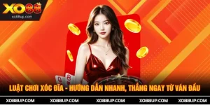 Luật Chơi Xóc Đĩa - Hướng Dẫn Nhanh, Thắng Ngay Từ Ván Đầu 