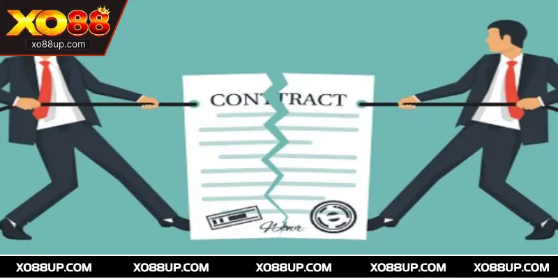 Vi phạm điều khoản miễn trừ trách nhiệm